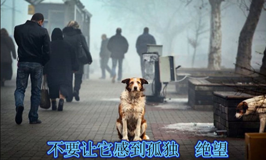 万宁万宁爱影圈微博微信转发案例
